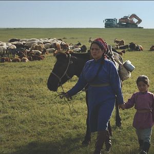 Bilder Die Adern der Welt