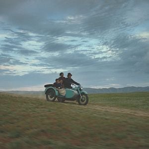 Bilder Die Adern der Welt