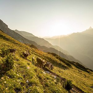 Bilder Im Berg dahuim