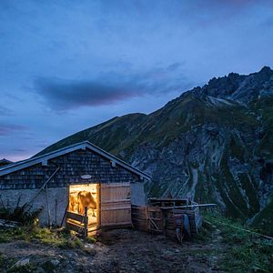 Bilder Im Berg dahuim