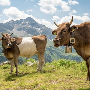Bilder Im Berg dahuim