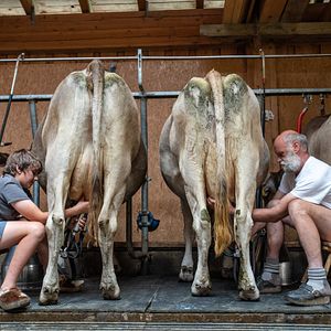 Bilder Im Berg dahuim