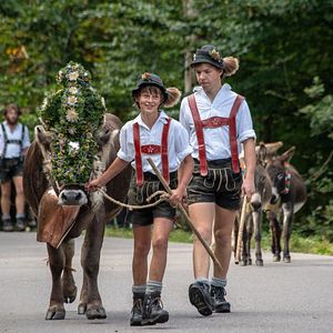 Bilder Im Berg dahuim