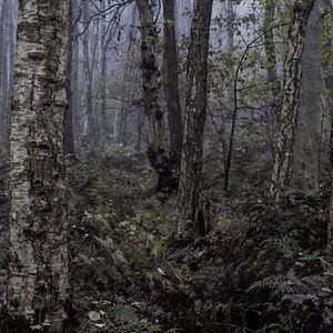 Bilder Freistaat Mittelpunkt