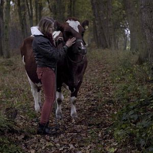 Bilder Freistaat Mittelpunkt