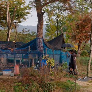 Bilder The Woman Who Ran