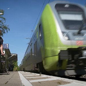 Bilder Die Heimreise