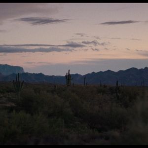 Bilder Glitzer & Staub