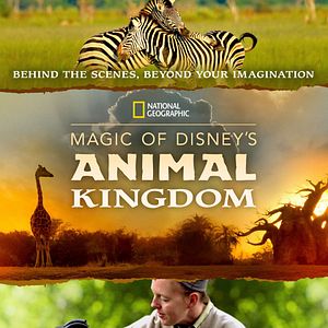 Bilder Magic of Disney's Animal Kingdom