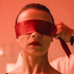 Bilder Der Geschmack der Margeriten