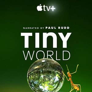 Bilder Tiny World