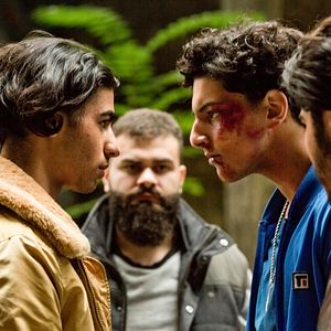 Bilder Ein nasser Hund