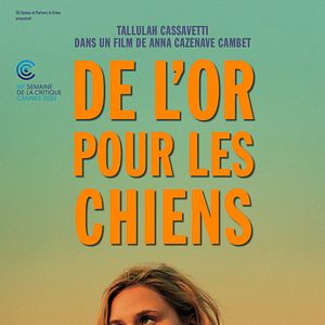 Bilder De l’or pour les chiens