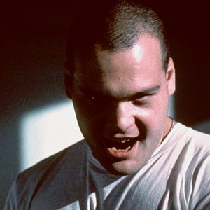 Bilder Vincent D'Onofrio