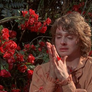 Bilder Dämonen der Seele