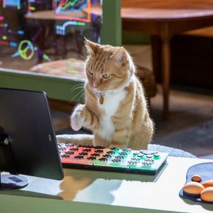 Bilder Cats & Dogs 3: Pfoten vereint!