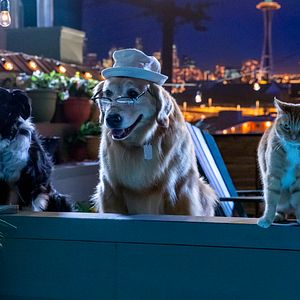 Bilder Cats & Dogs 3: Pfoten vereint!