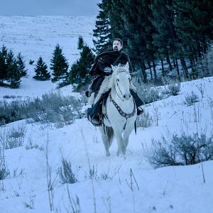 Bilder Robert The Bruce - König von Schottland