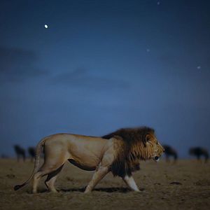 Bilder Earth At Night In Color