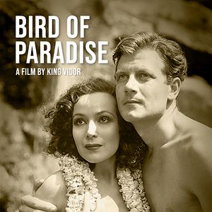 Bilder Bird of Paradise