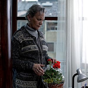 Bilder Elena Irureta