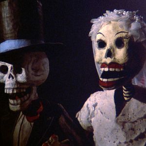 Bilder Unter dem Vulkan