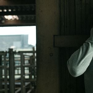 Bilder Anonymous Animals