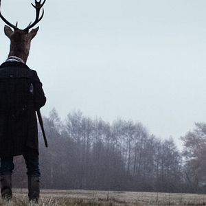 Bilder Anonymous Animals