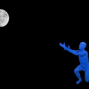 Bilder Fabrice Carlier