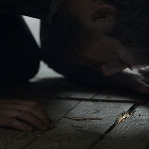 Bilder Von Liebe und Krieg