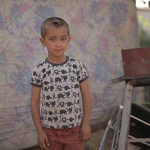 Bilder Contemporary Past - Die Gegenwart der Vergangenheit