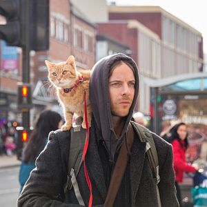 Bilder Ein Geschenk von Bob