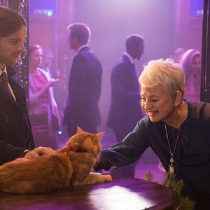 Bilder Ein Geschenk von Bob