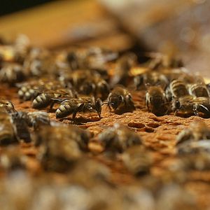 Bilder Eine Frage der Haltung