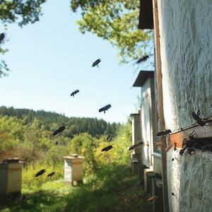 Bilder Eine Frage der Haltung