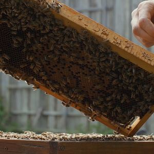 Bilder Eine Frage der Haltung