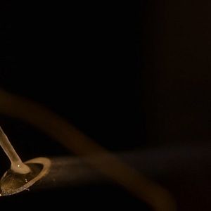 Bilder Eine Frage der Haltung