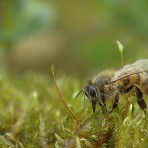 Bilder Eine Frage der Haltung