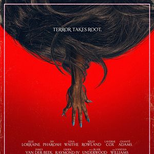 Bilder Bad Hair - Waschen, schneiden, töten