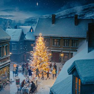 Bilder Elise und das vergessene Weihnachtsfest