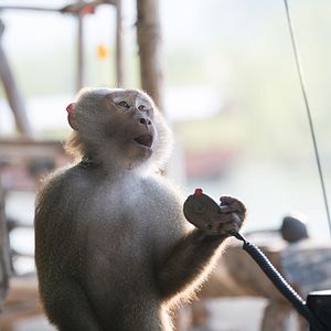 Bilder Tremors 7 - Shrieker Island