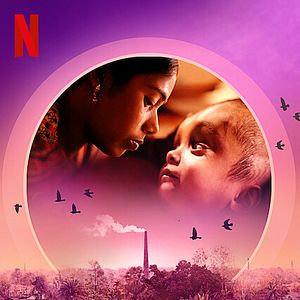 Bilder Rettung für Roona