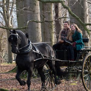Bilder Mein perfektes Weihnachten