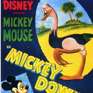 Bilder Micky in Australien