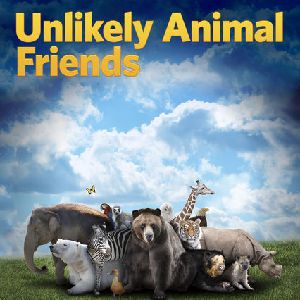 Bilder Tierische Freundschaften