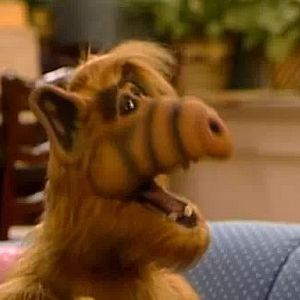 Bilder ALF