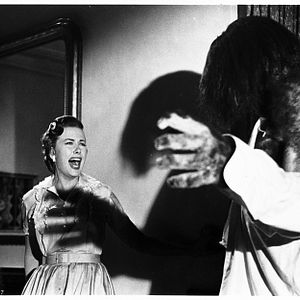 Bilder Helen Westcott