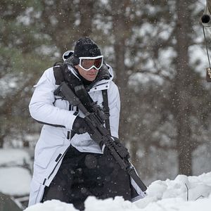 Bilder Walton Goggins