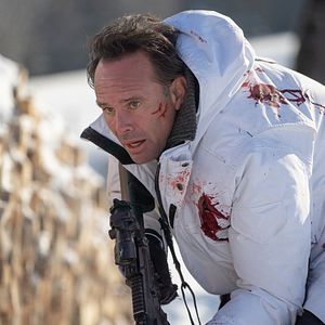 Bilder Walton Goggins