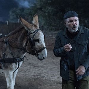 Bilder Fear The Walking Dead